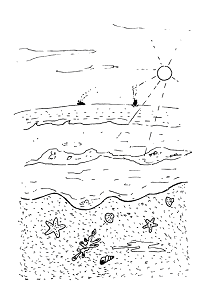 Sea Sea