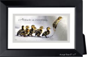 attitude is everything