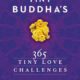 Pivotal Books - Tiny Buddhas 365 tiny love challenges