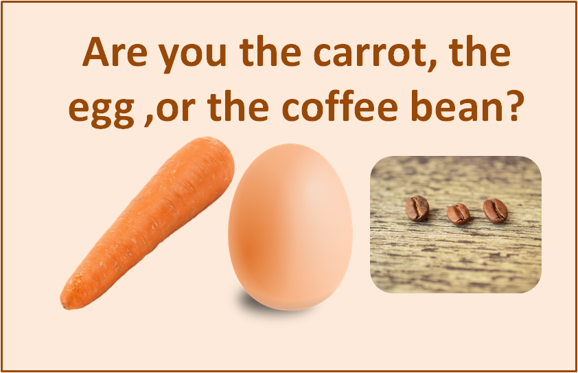 Pivotal stories - Carrot, egg or coffee bean