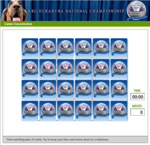 Pivotal Kids game - canine concentration