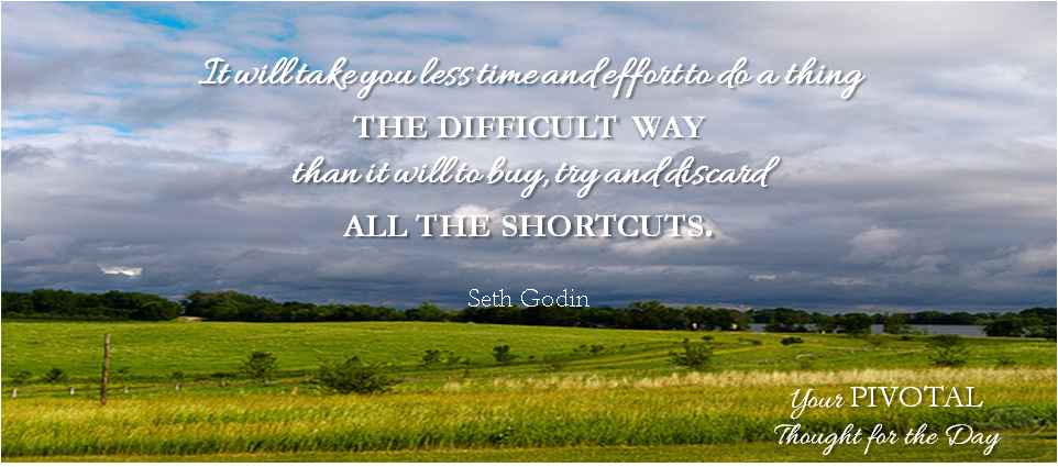 Pivotal Life quote from Seth Godin