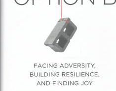 Option B
