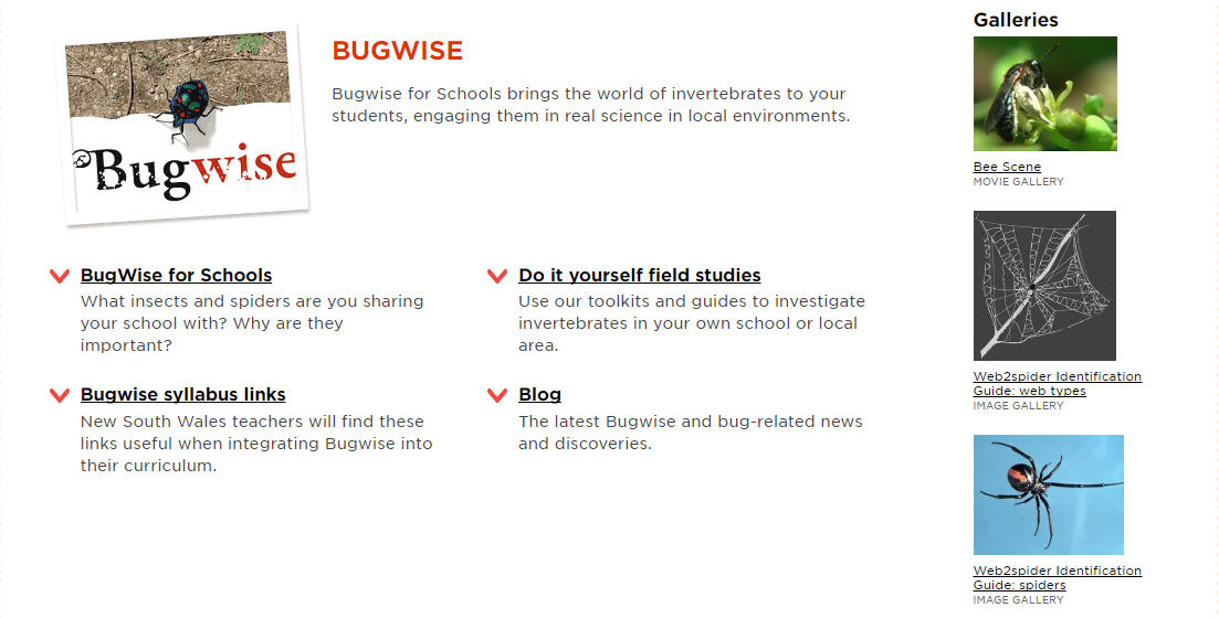 Pivotal Kids learning bugwise