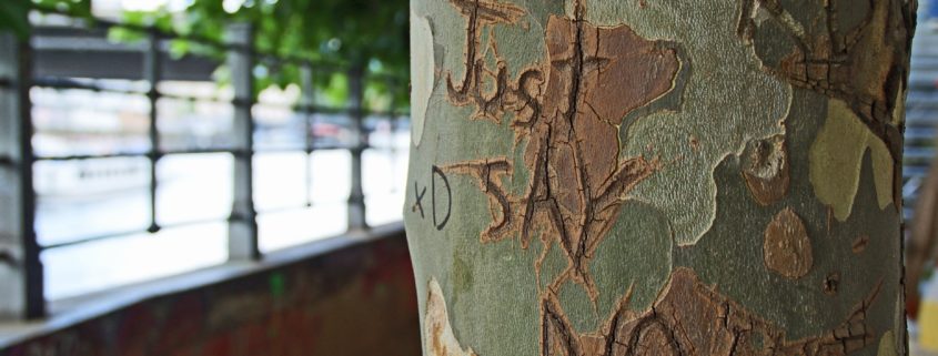 Pivotal lesson plans and resources on tobacco - just say no