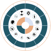 archetype_vectors_tilted